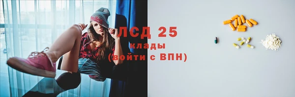 ПСИЛОЦИБИНОВЫЕ ГРИБЫ Осинники