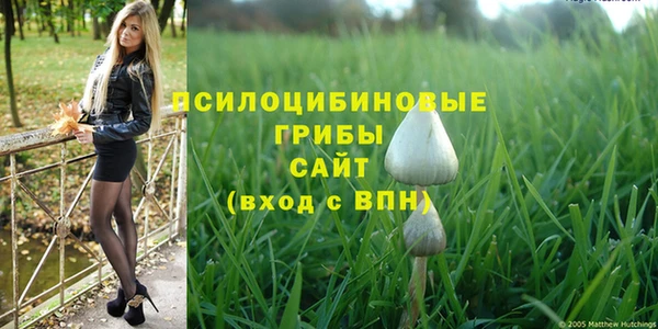 Альфа ПВП Алексин