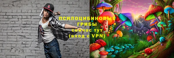 Альфа ПВП Алексин