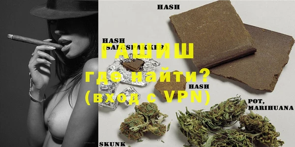 PSILOCYBIN Алзамай