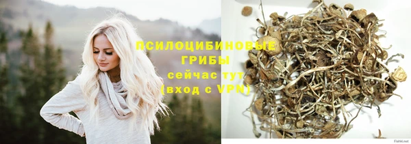 шишки Алексеевка