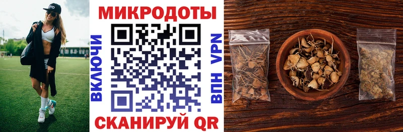 Псилоцибиновые грибы прущие грибы  Данилов 